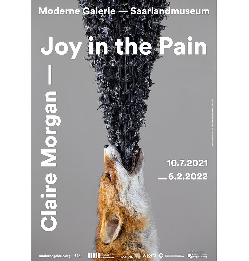 Claire Morgan: Joy in the Pain, Moderne Galerie Saarlandmuseum Sarrebruck