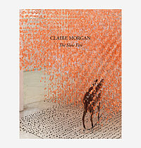 Claire Morgan, The slow Fire, Galerie Karsten Greve, 2014