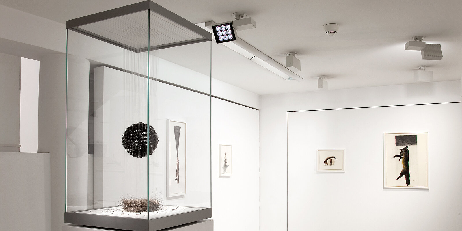 Installationsansicht, Claire Morgan, Galerie Karsten Greve Köln, 2021