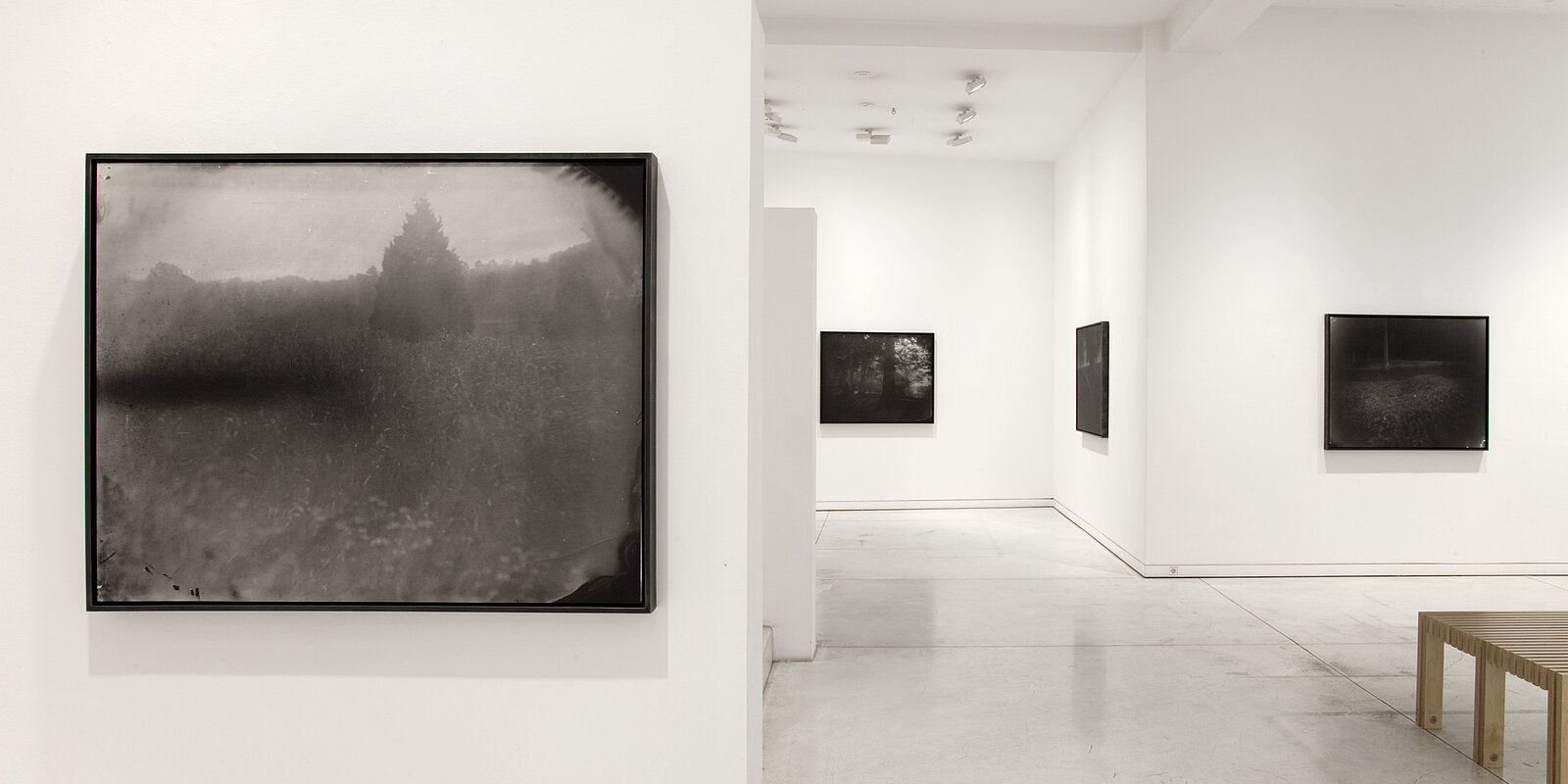 Vue d'installation, Sally Mann, Galerie Karsten Greve Cologne, 2020. Photo: Lisa Busche