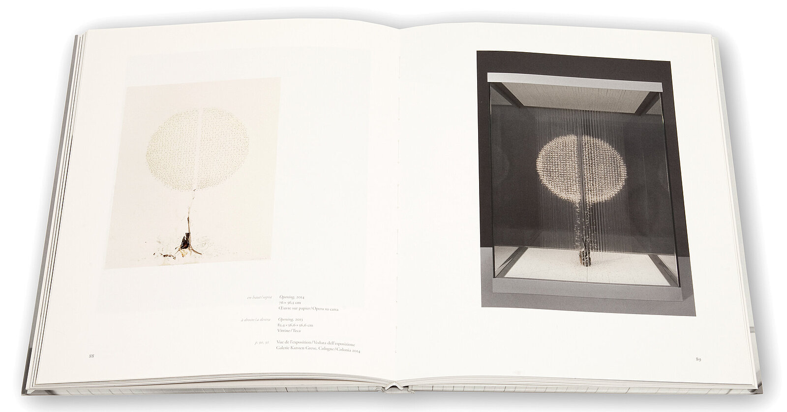 Claire Morgan, The slow Fire, Galerie Karsten Greve, 2014 Claire Morgan, The slow Fire, Galerie Karsten Greve, 2014