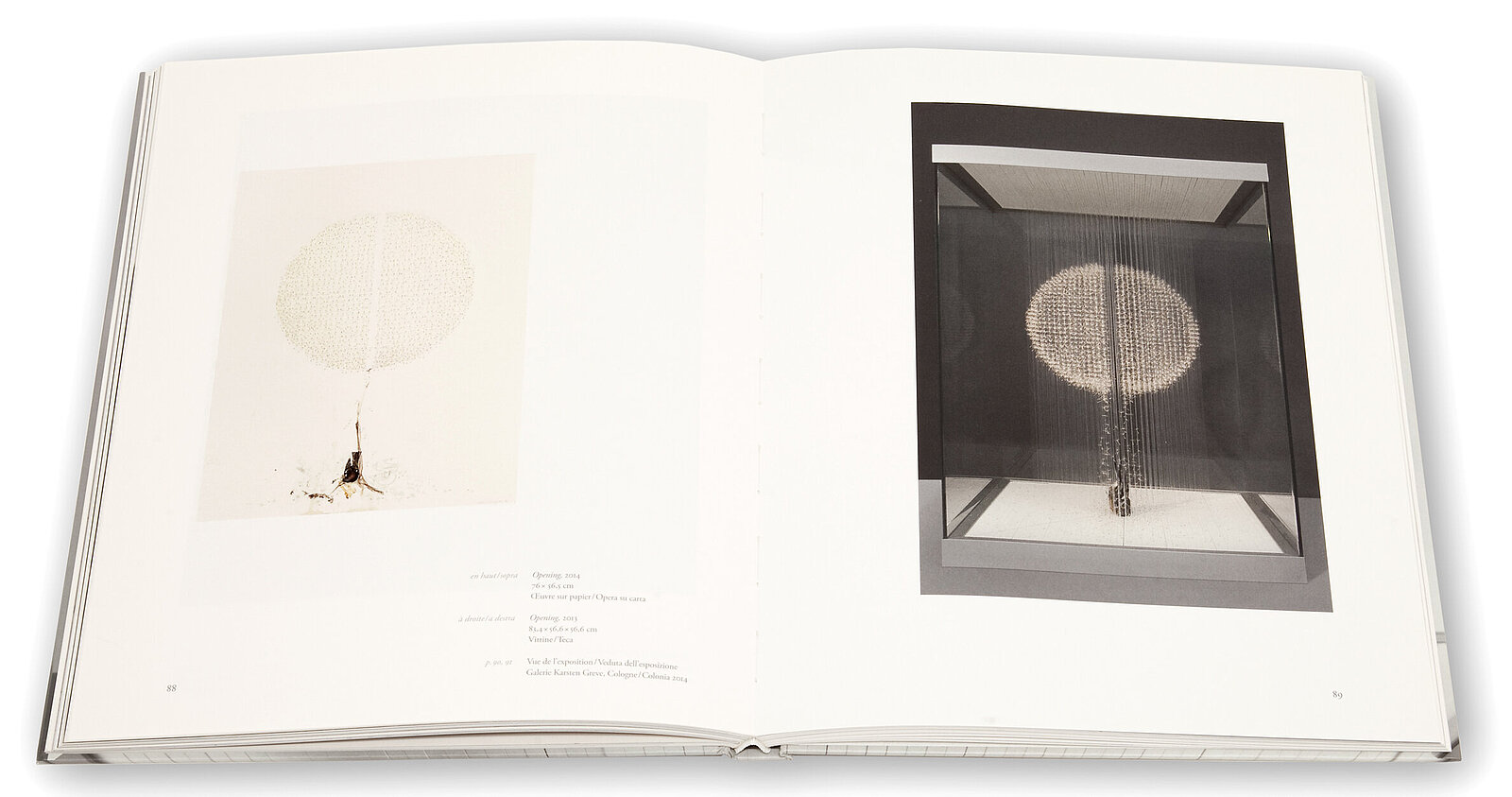 Claire Morgan, The slow Fire, Galerie Karsten Greve, 2014