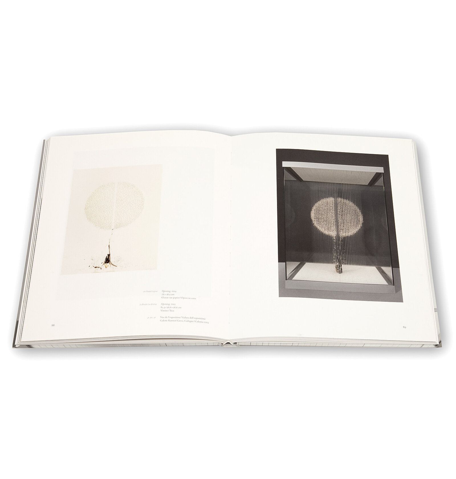 Claire Morgan, The slow Fire, Galerie Karsten Greve, 2014