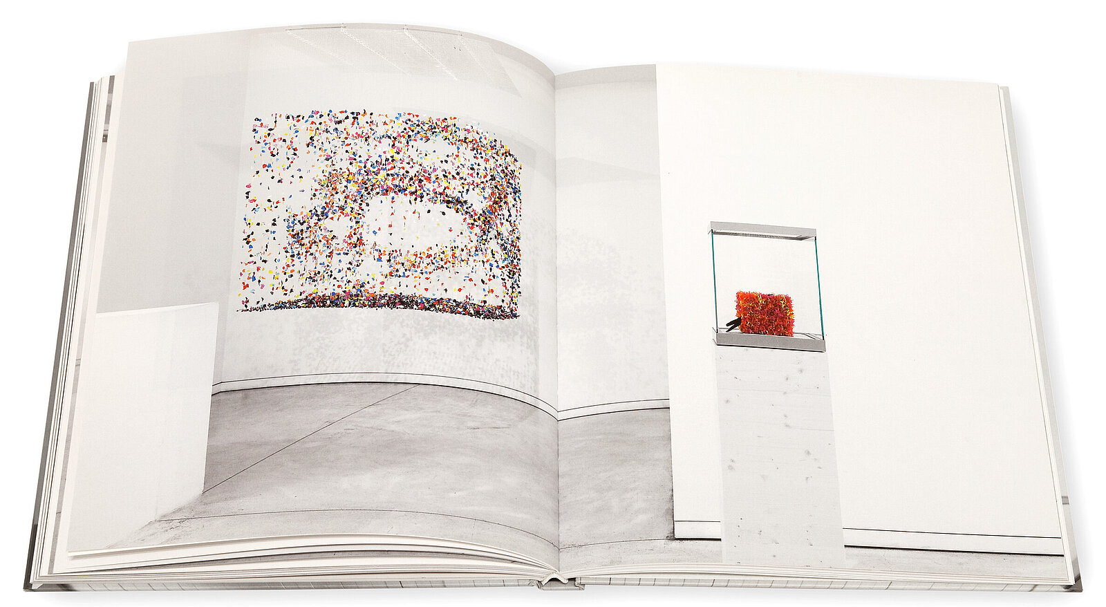 Claire Morgan, The slow Fire, Galerie Karsten Greve, 2014 Claire Morgan, The slow Fire, Galerie Karsten Greve, 2014