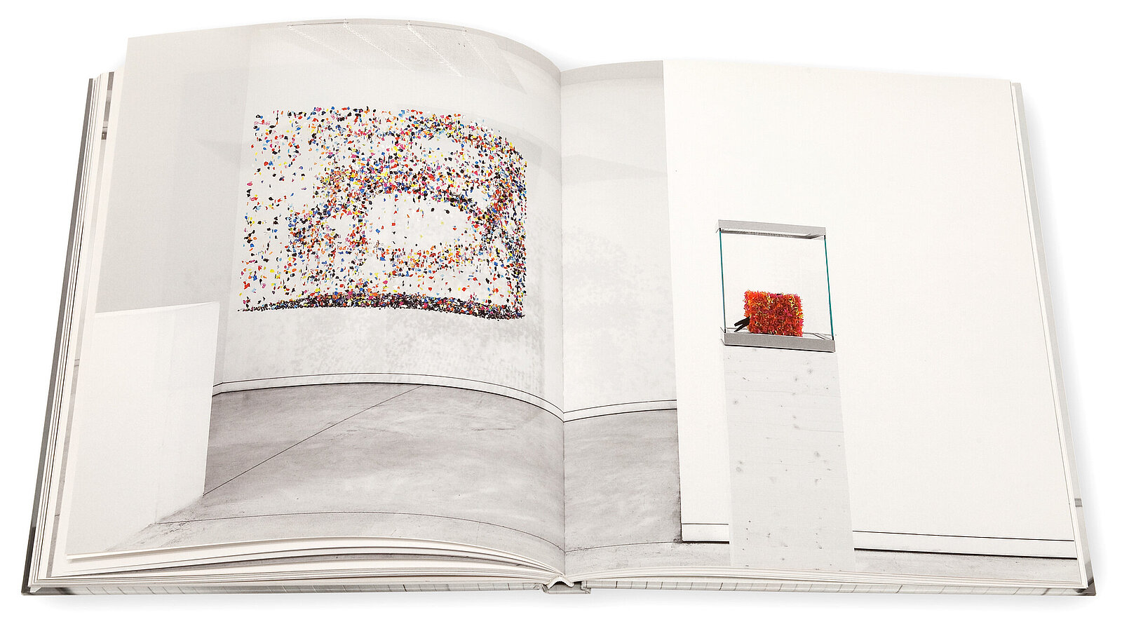 Claire Morgan, The slow Fire, Galerie Karsten Greve, 2014