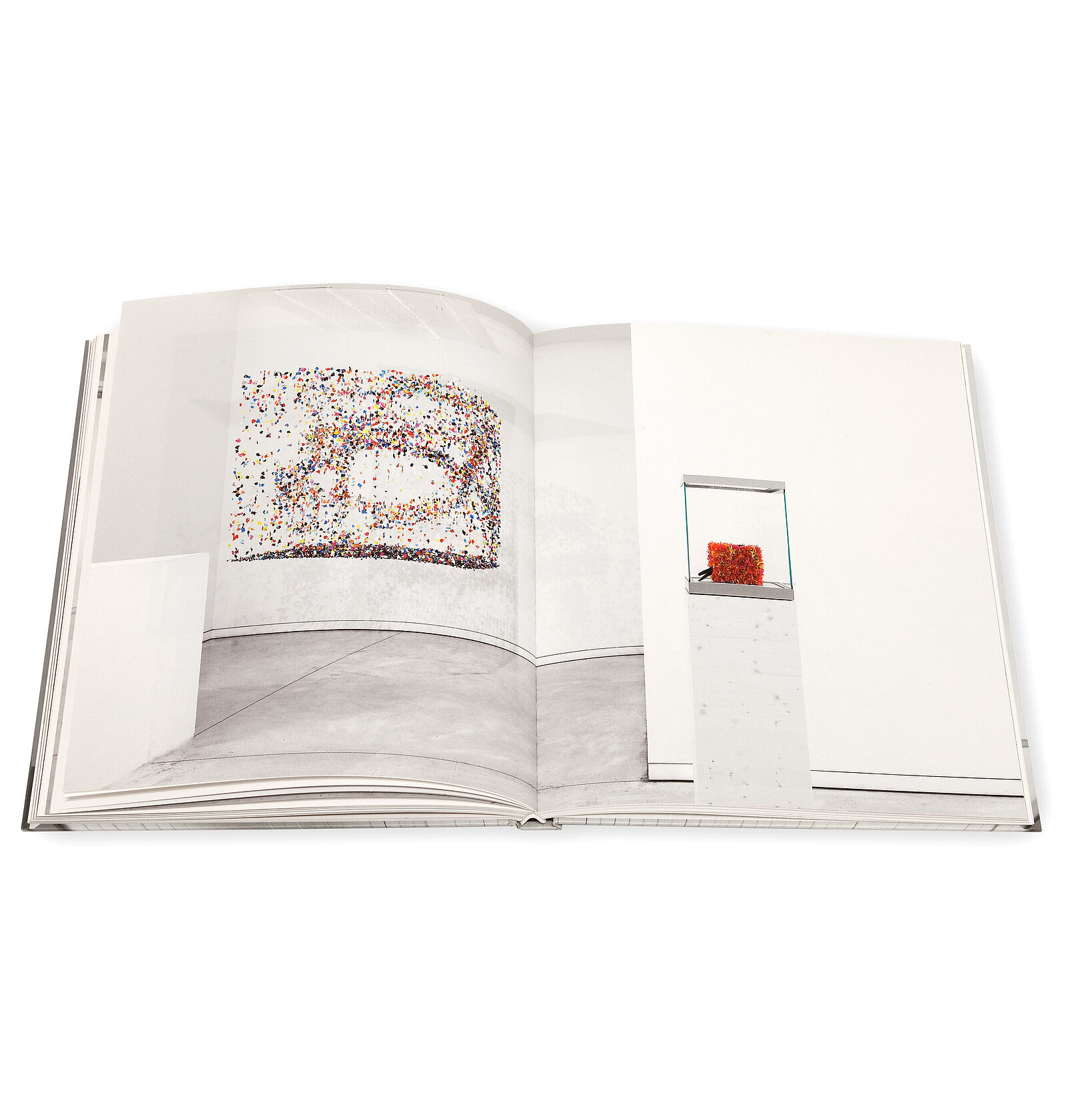 Claire Morgan, The slow Fire, Galerie Karsten Greve, 2014