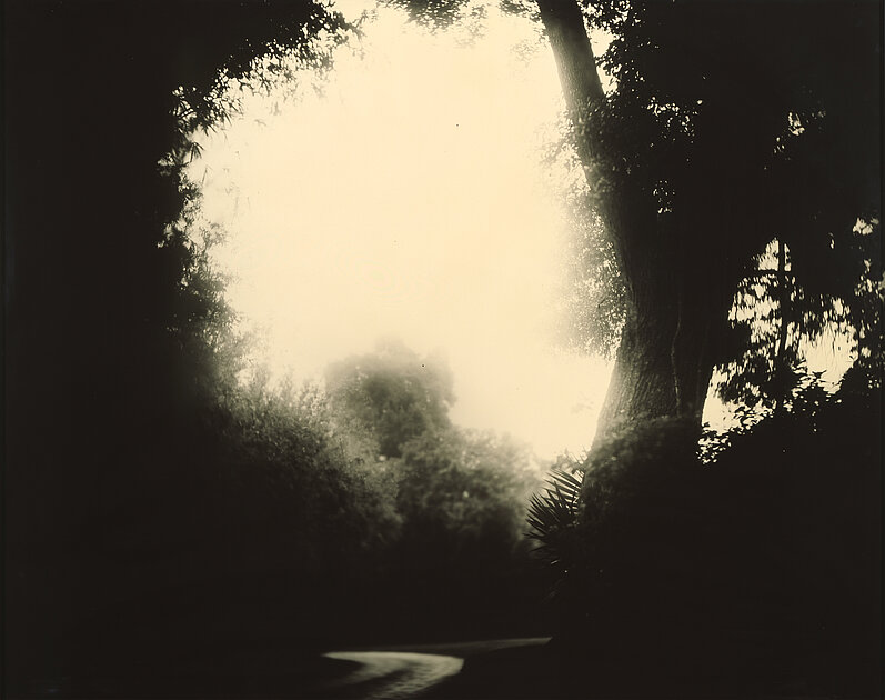 Sally Mann: Deep South #20