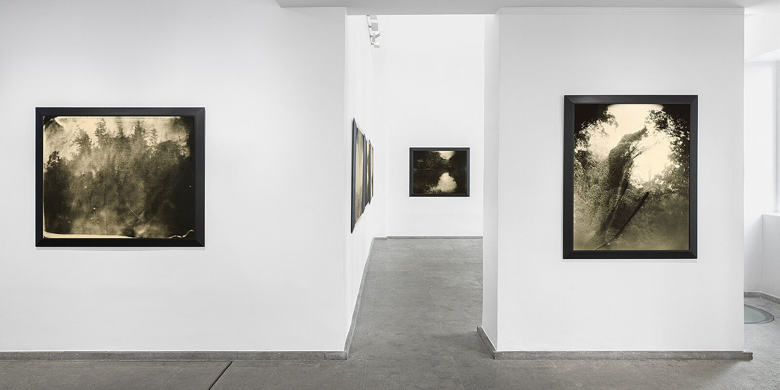 Vue d'installation, Sally Mann, Galerie Karsten Greve Paris, 2021. Photo: Nicolas Brasseur
