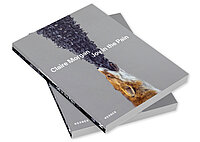 Claire Morgan, Joy in the Pain