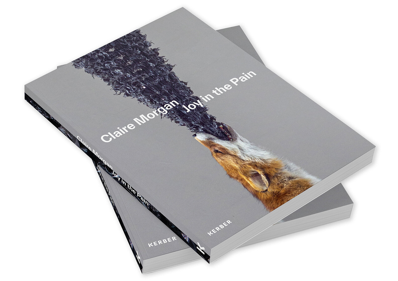 Claire Morgan, Joy in the Pain