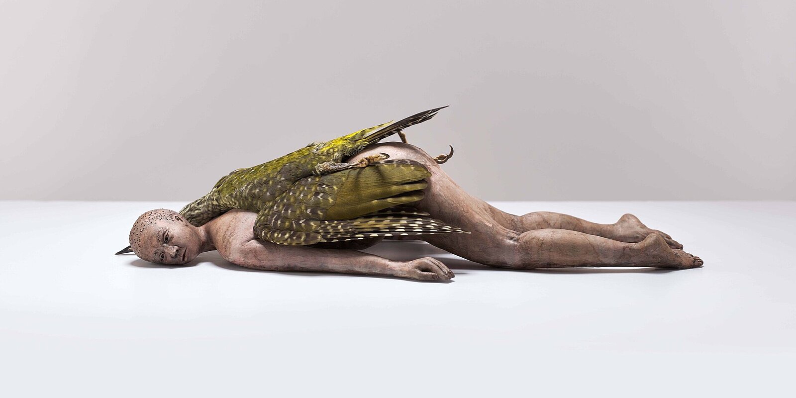 Claire Morgan, Bare, 2024, Plumes d'oiseaux (pic vert), céramique peinte, 21 x 18,6 x 41,4 cm. Photo: John MacKenzie