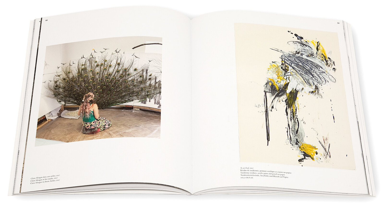 Claire Morgan, Perpetually at the centre, Galerie Karsten Greve, 2017