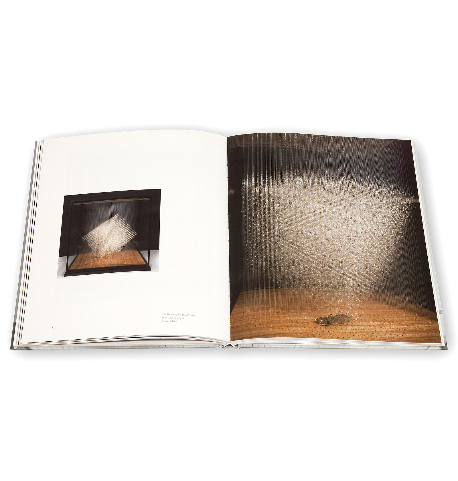 Claire Morgan, The slow Fire, Galerie Karsten Greve, 2014