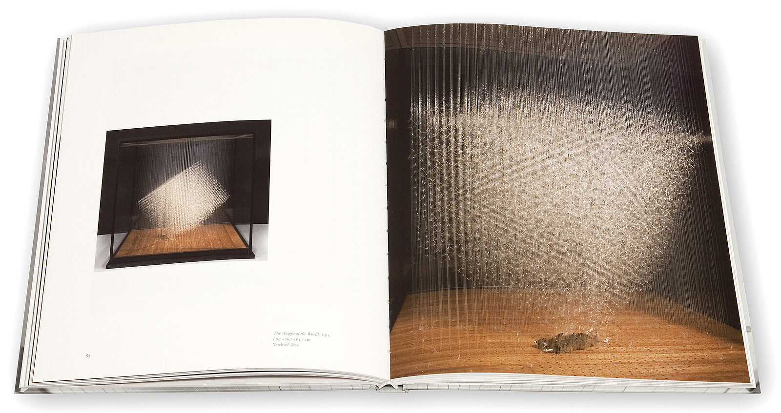 Claire Morgan, The slow Fire, Galerie Karsten Greve, 2014