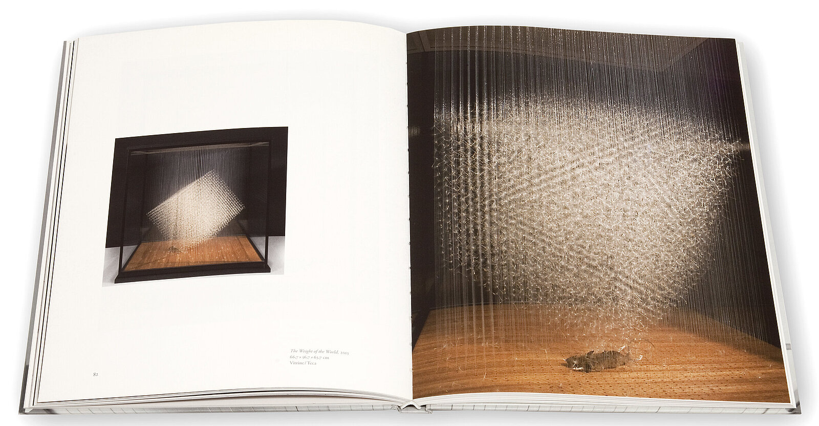 Claire Morgan, The slow Fire, Galerie Karsten Greve, 2014 Claire Morgan, The slow Fire, Galerie Karsten Greve, 2014