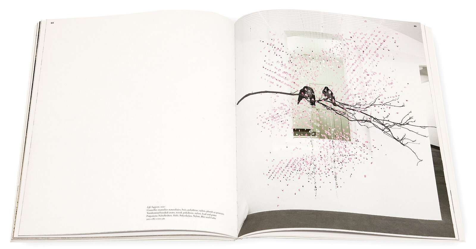 Claire Morgan, Perpetually at the centre, Galerie Karsten Greve, 2017