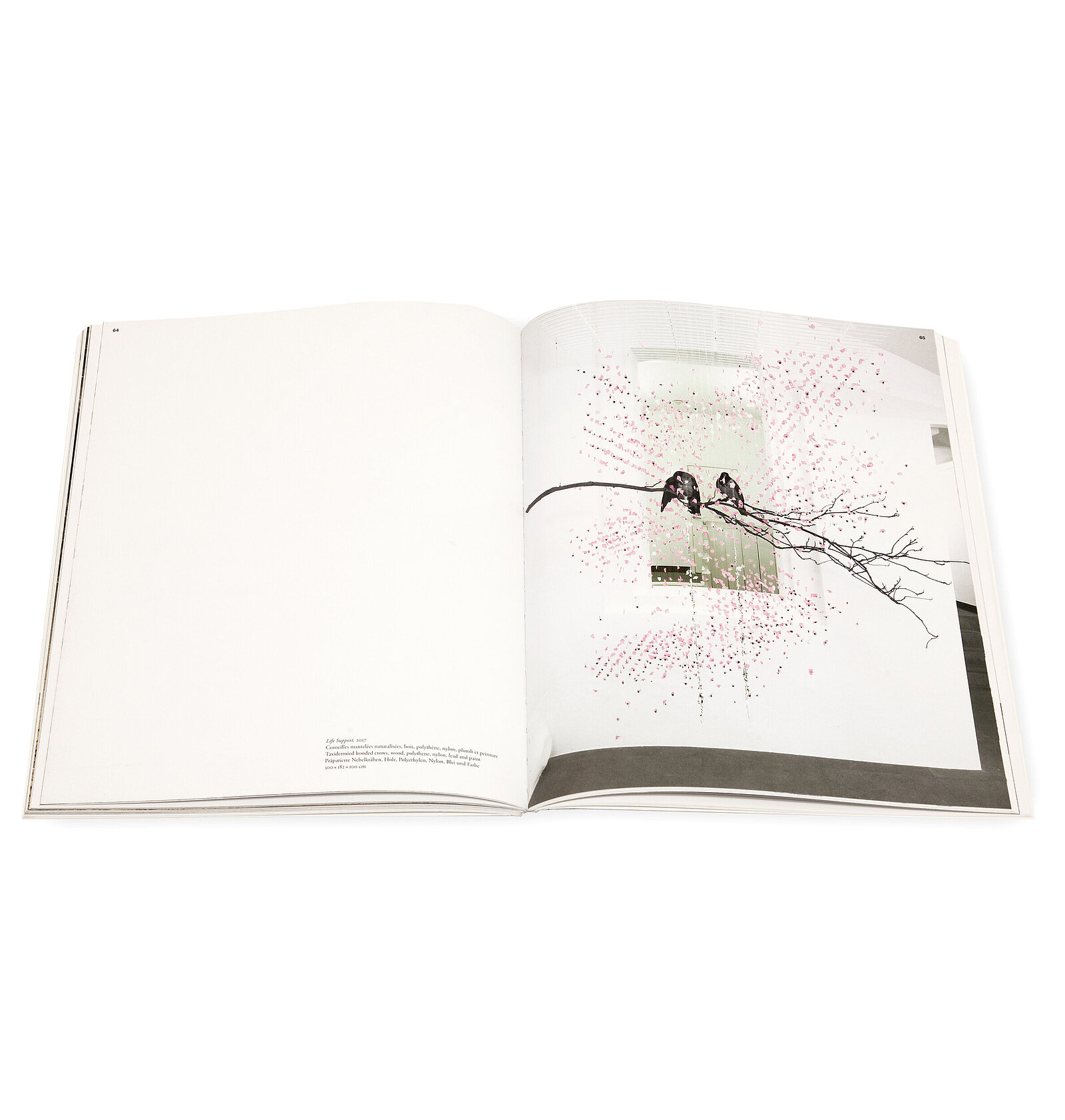 Claire Morgan, Perpetually at the centre, Galerie Karsten Greve, 2017