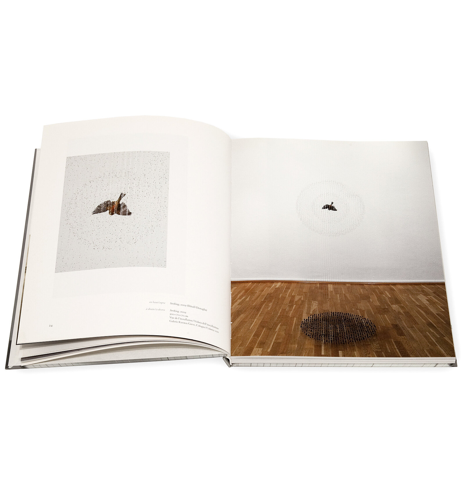 Claire Morgan, The slow Fire, Galerie Karsten Greve, 2014