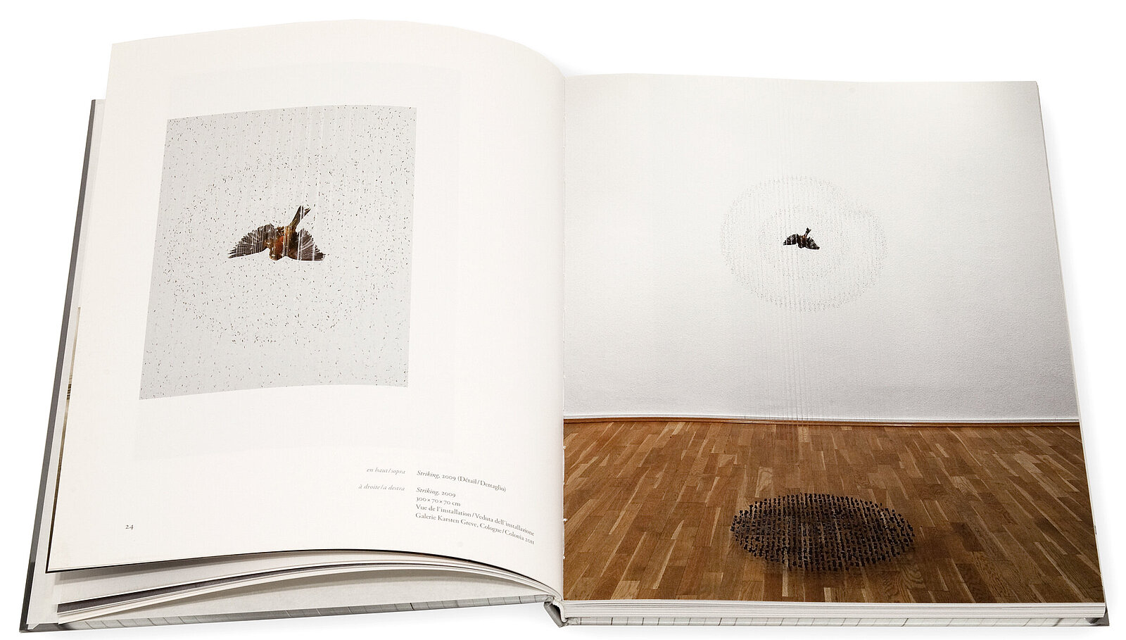 Claire Morgan, The slow Fire, Galerie Karsten Greve, 2014