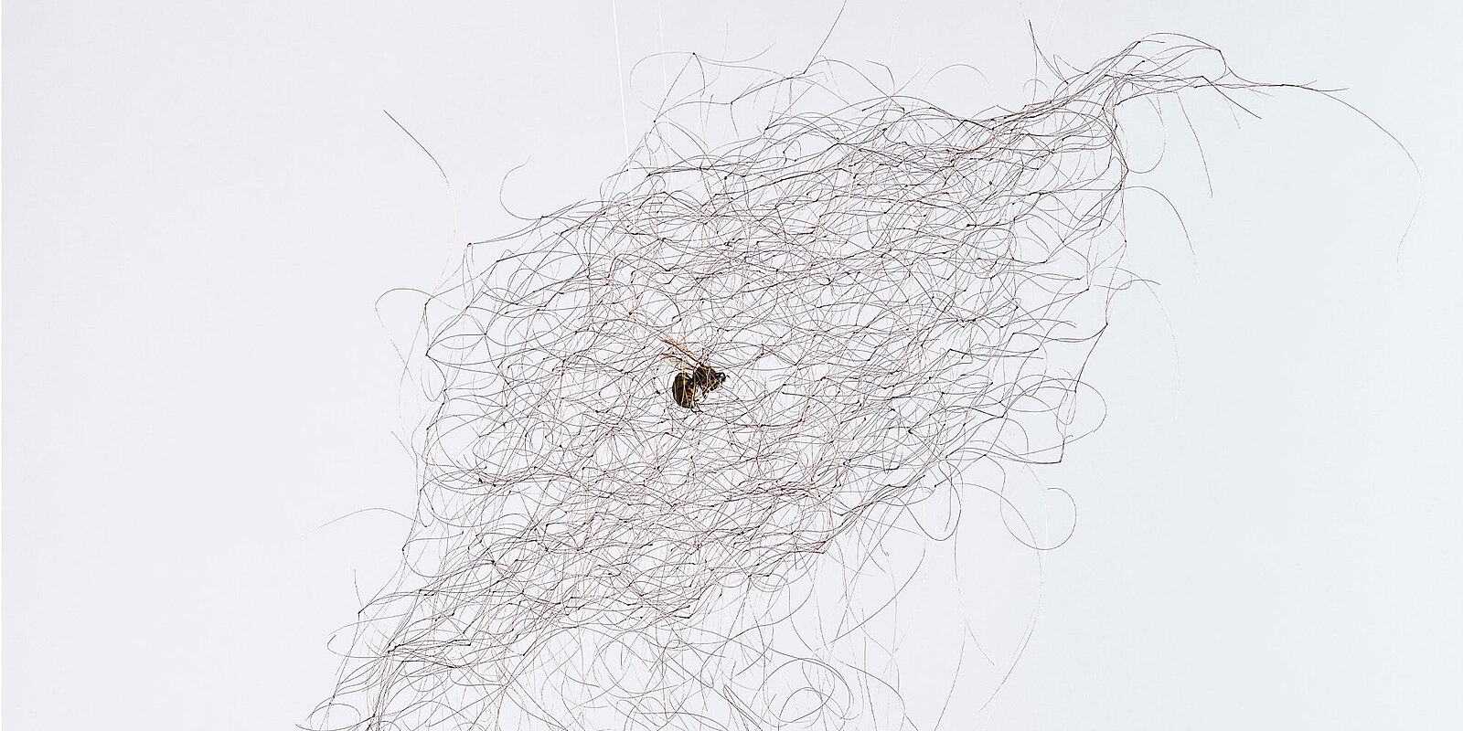 Claire Morgan, Choke, 2025. Photo: John McKenzie Claire Morgan, Choke, 2025. Photo: John McKenzie