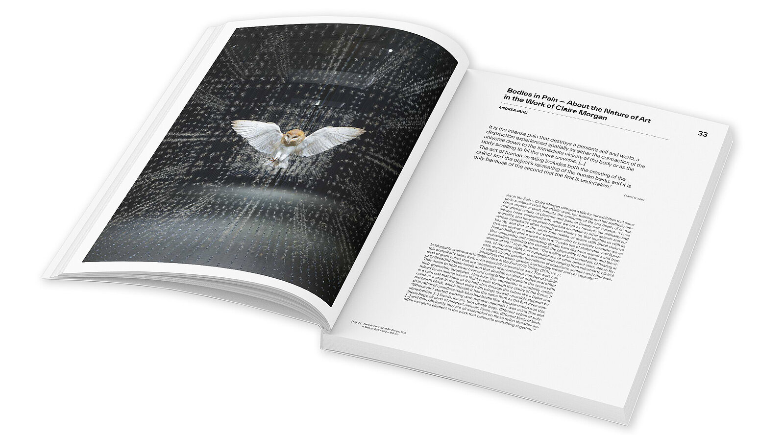 Claire Morgan, Joy in the Pain