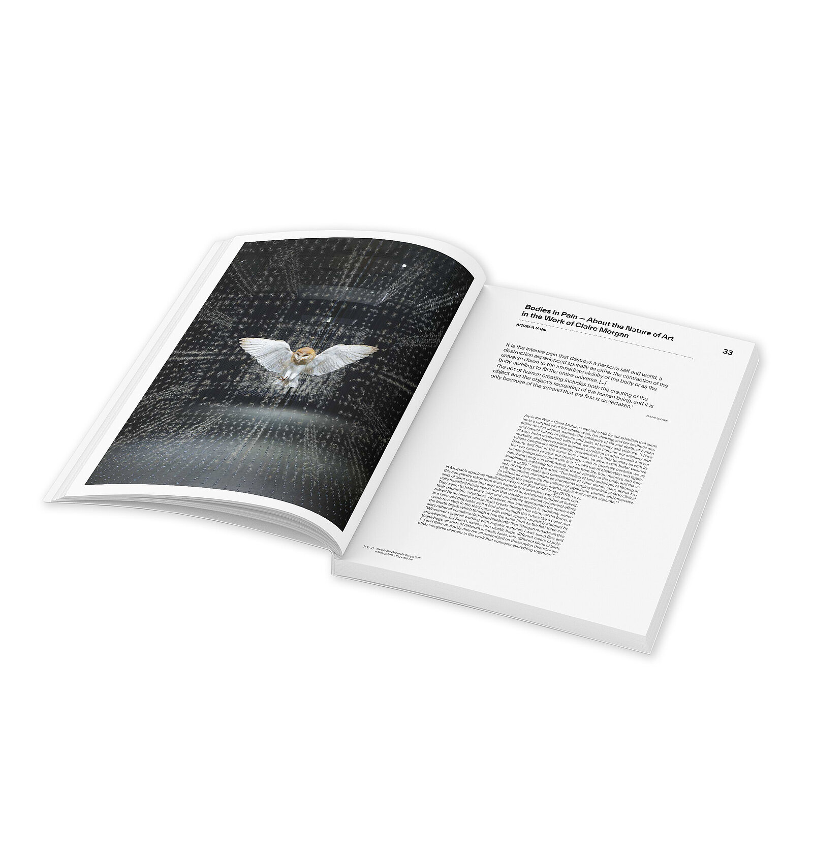 Claire Morgan, Joy in the Pain