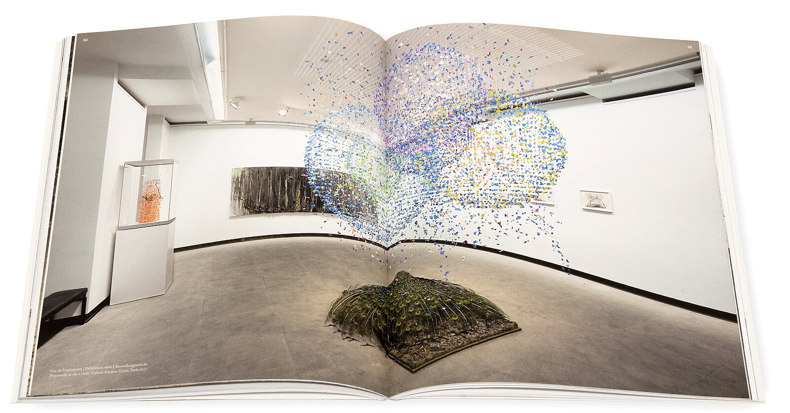 Claire Morgan, Perpetually at the centre, Galerie Karsten Greve, 2017