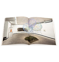 Claire Morgan, Perpetually at the centre, Galerie Karsten Greve, 2017