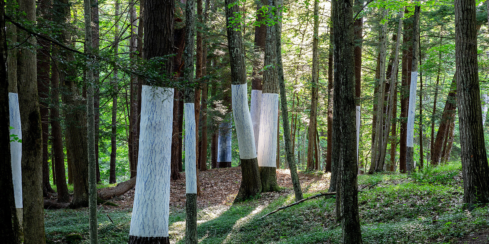 Photo: Lisa Vollmer