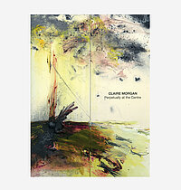 Claire Morgan, Perpetually at the centre, Galerie Karsten Greve, 2017