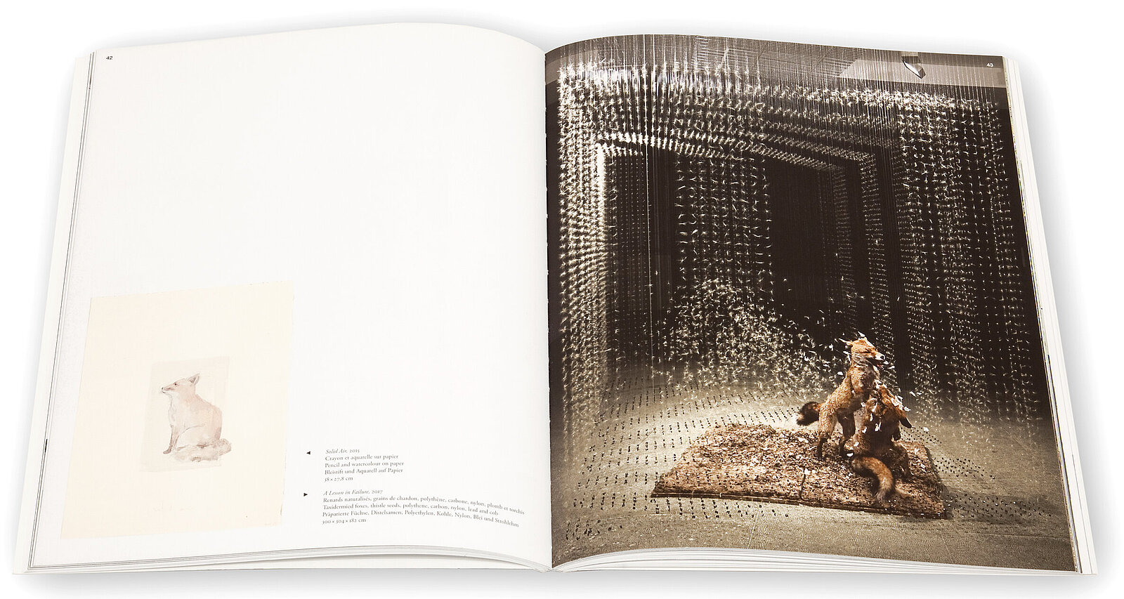 Claire Morgan, Perpetually at the centre, Galerie Karsten Greve, 2017